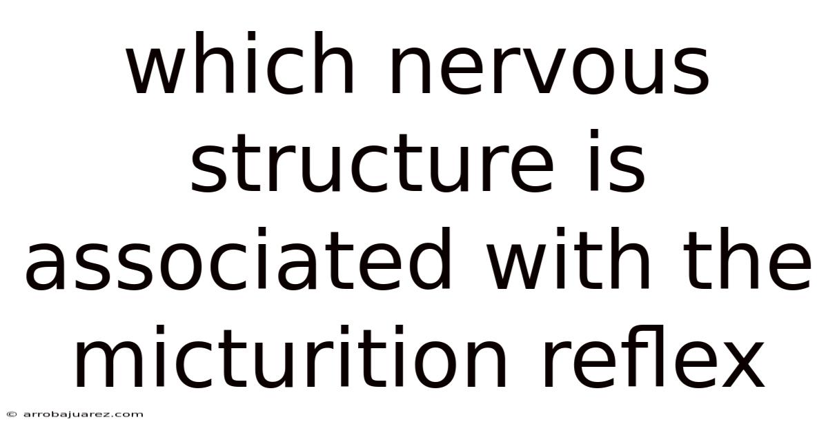 Which Nervous Structure Is Associated With The Micturition Reflex