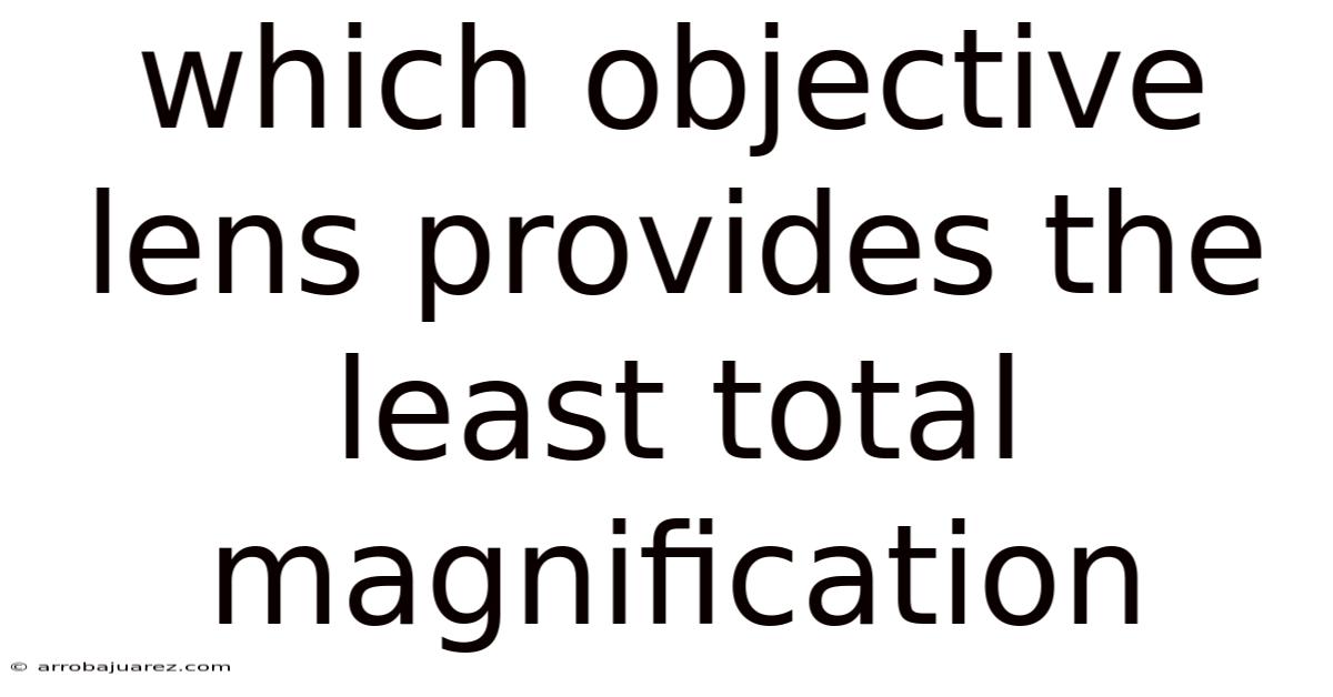 Which Objective Lens Provides The Least Total Magnification