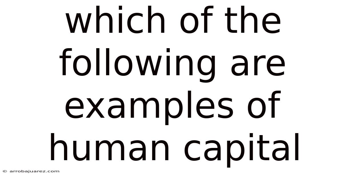 Which Of The Following Are Examples Of Human Capital