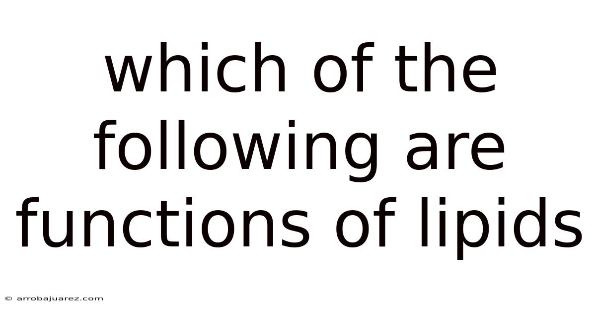 Which Of The Following Are Functions Of Lipids