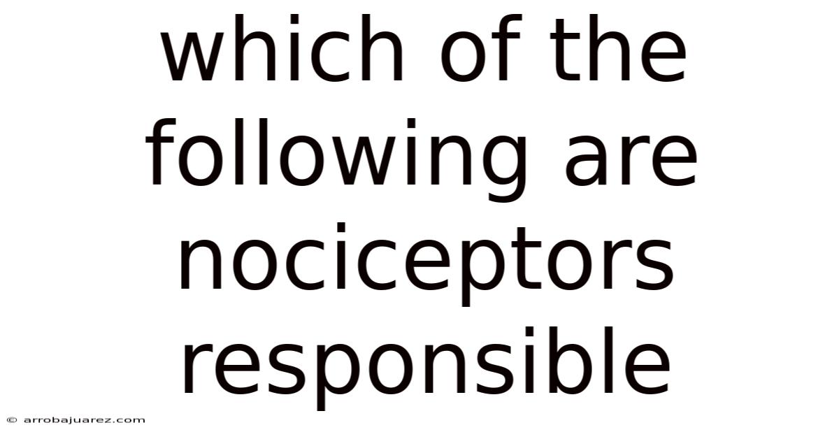 Which Of The Following Are Nociceptors Responsible