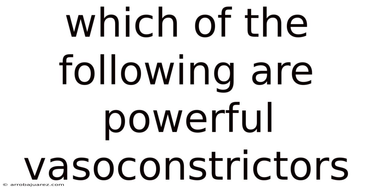 Which Of The Following Are Powerful Vasoconstrictors