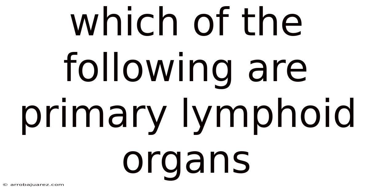 Which Of The Following Are Primary Lymphoid Organs