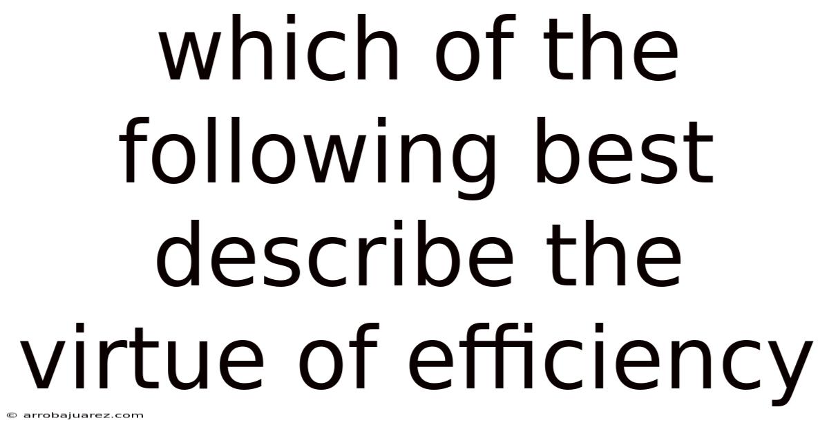 Which Of The Following Best Describe The Virtue Of Efficiency