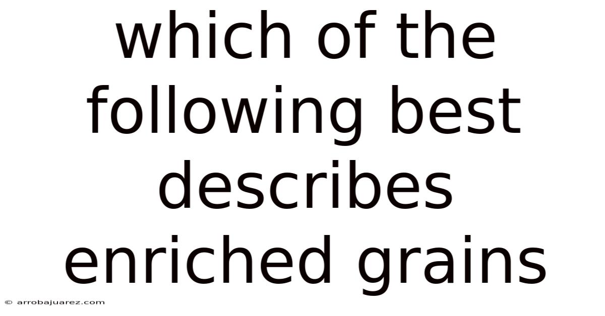 Which Of The Following Best Describes Enriched Grains