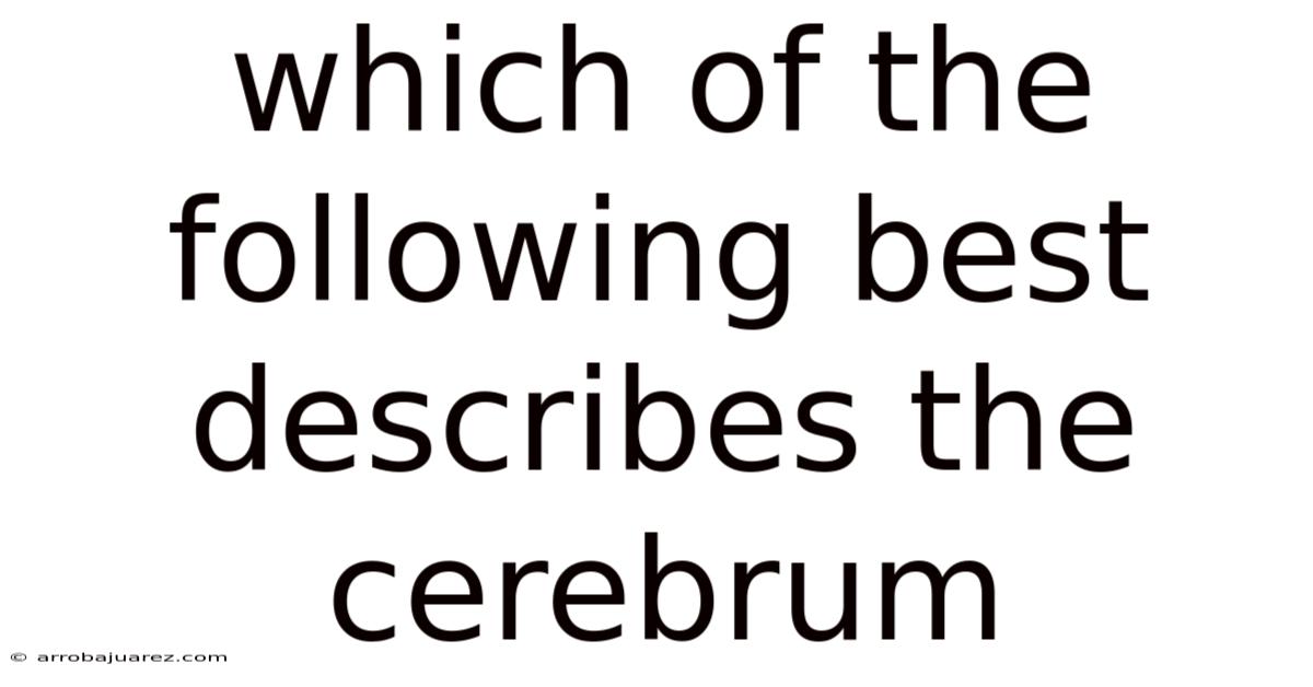 Which Of The Following Best Describes The Cerebrum