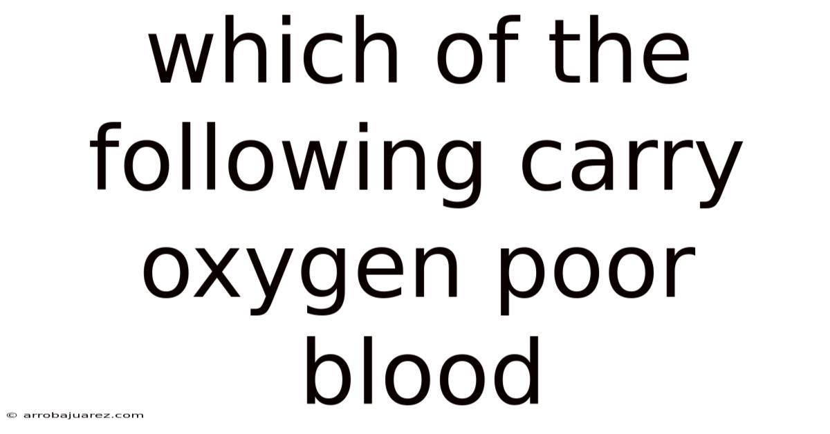 Which Of The Following Carry Oxygen Poor Blood