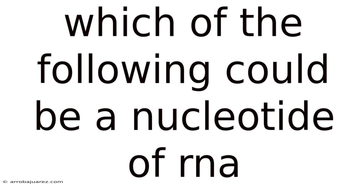 Which Of The Following Could Be A Nucleotide Of Rna
