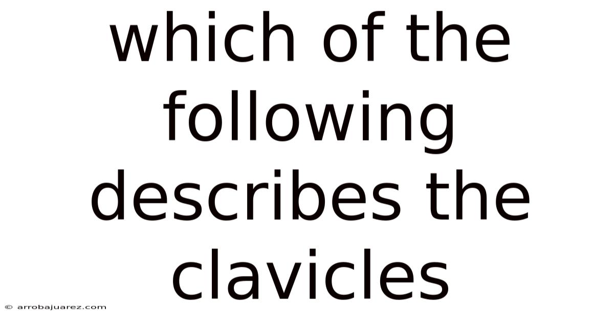 Which Of The Following Describes The Clavicles