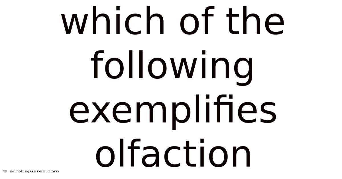 Which Of The Following Exemplifies Olfaction