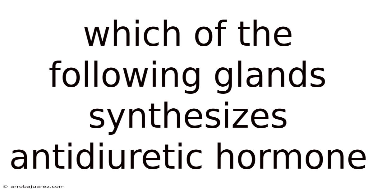 Which Of The Following Glands Synthesizes Antidiuretic Hormone