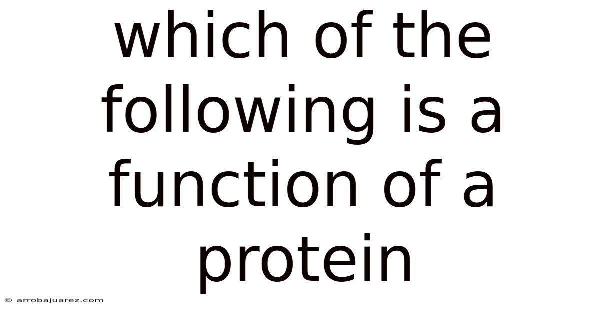 Which Of The Following Is A Function Of A Protein