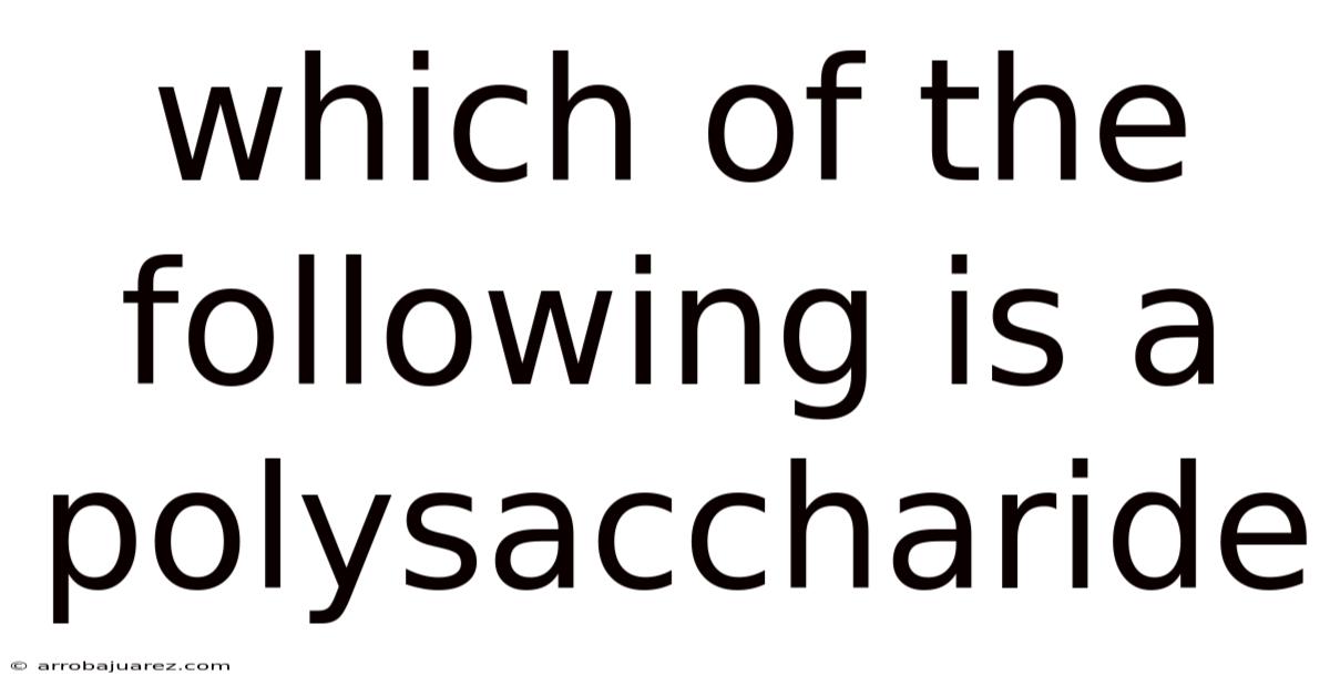 Which Of The Following Is A Polysaccharide
