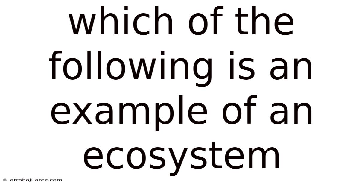Which Of The Following Is An Example Of An Ecosystem