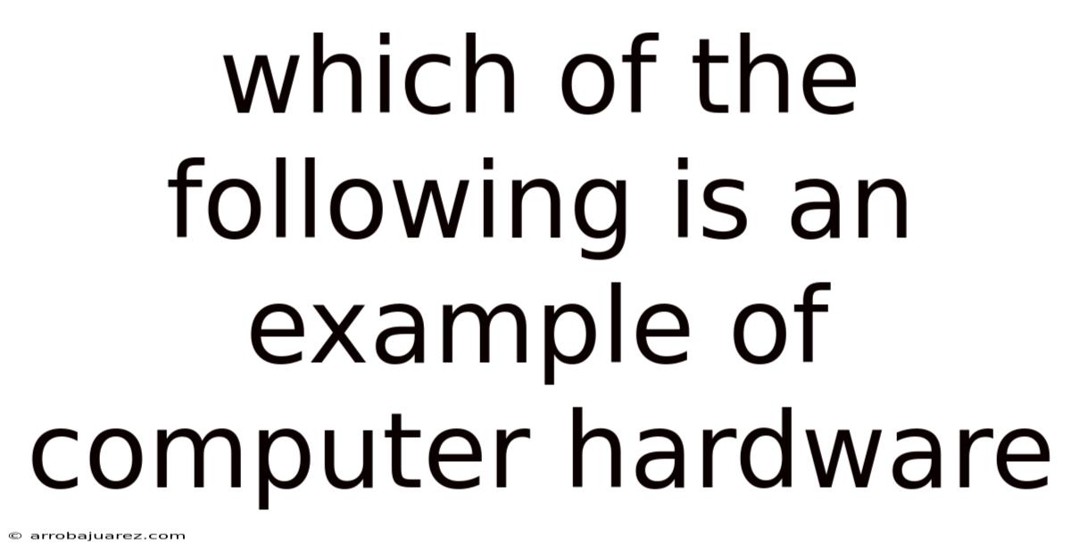 Which Of The Following Is An Example Of Computer Hardware