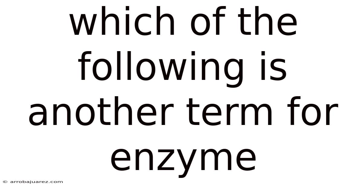 Which Of The Following Is Another Term For Enzyme