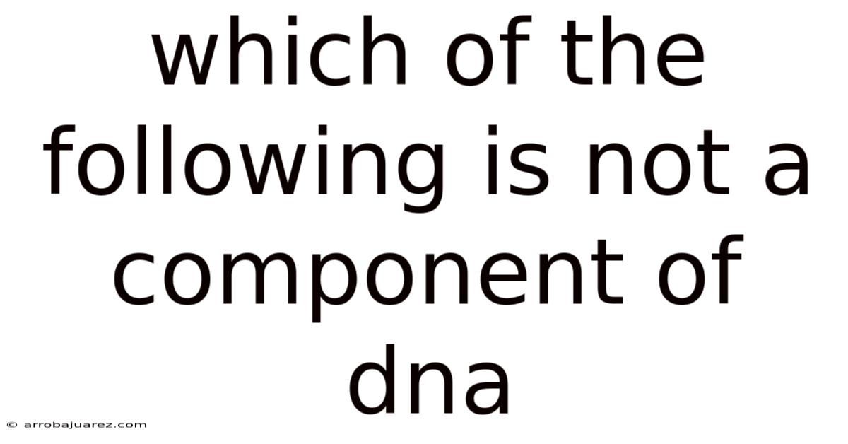 Which Of The Following Is Not A Component Of Dna