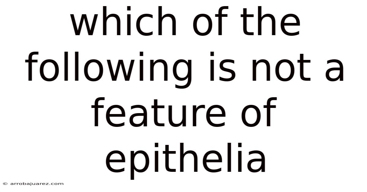 Which Of The Following Is Not A Feature Of Epithelia