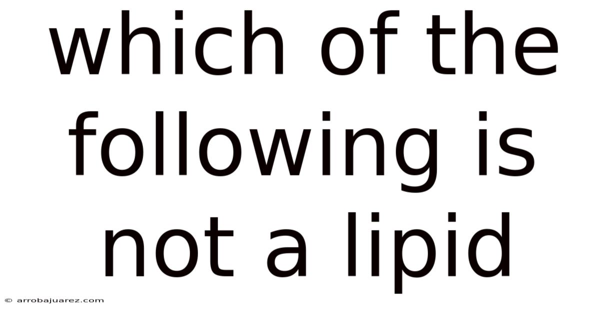 Which Of The Following Is Not A Lipid