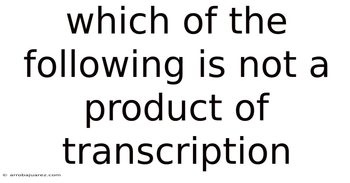 Which Of The Following Is Not A Product Of Transcription