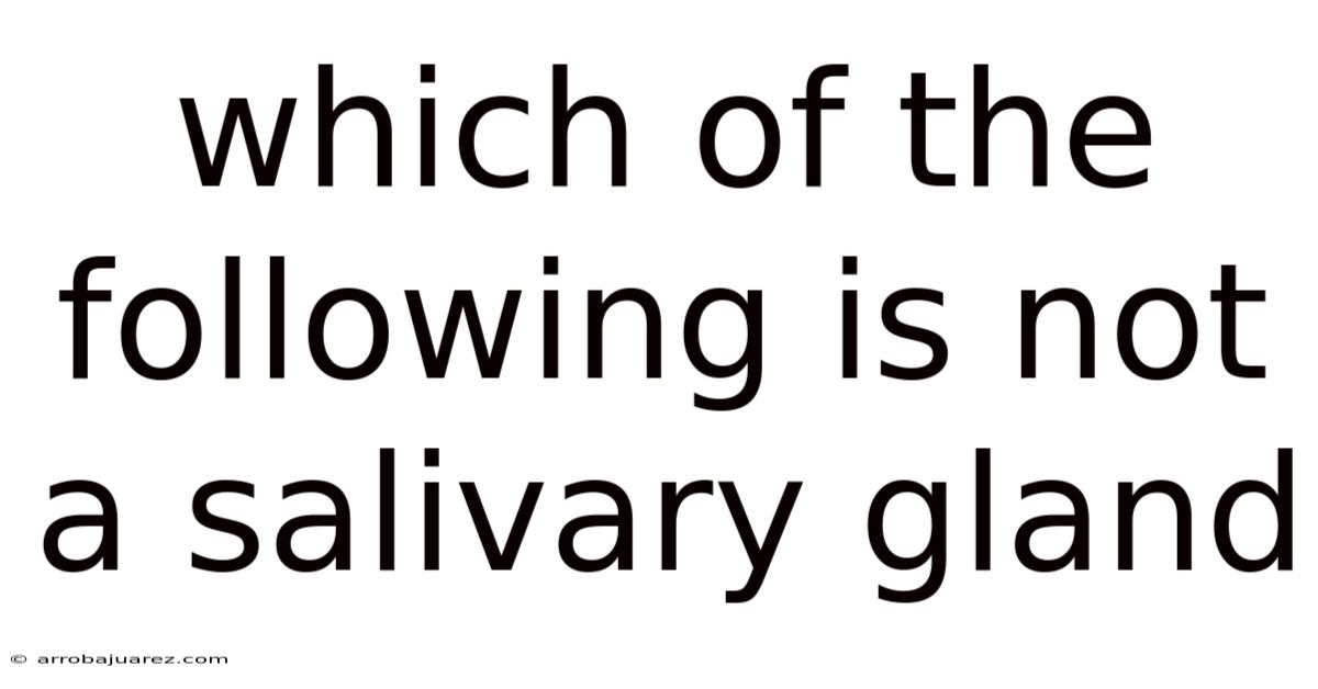 Which Of The Following Is Not A Salivary Gland