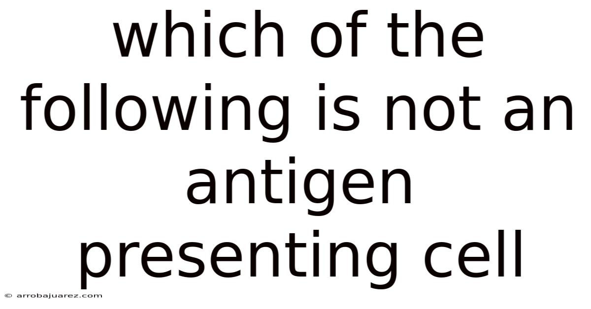 Which Of The Following Is Not An Antigen Presenting Cell