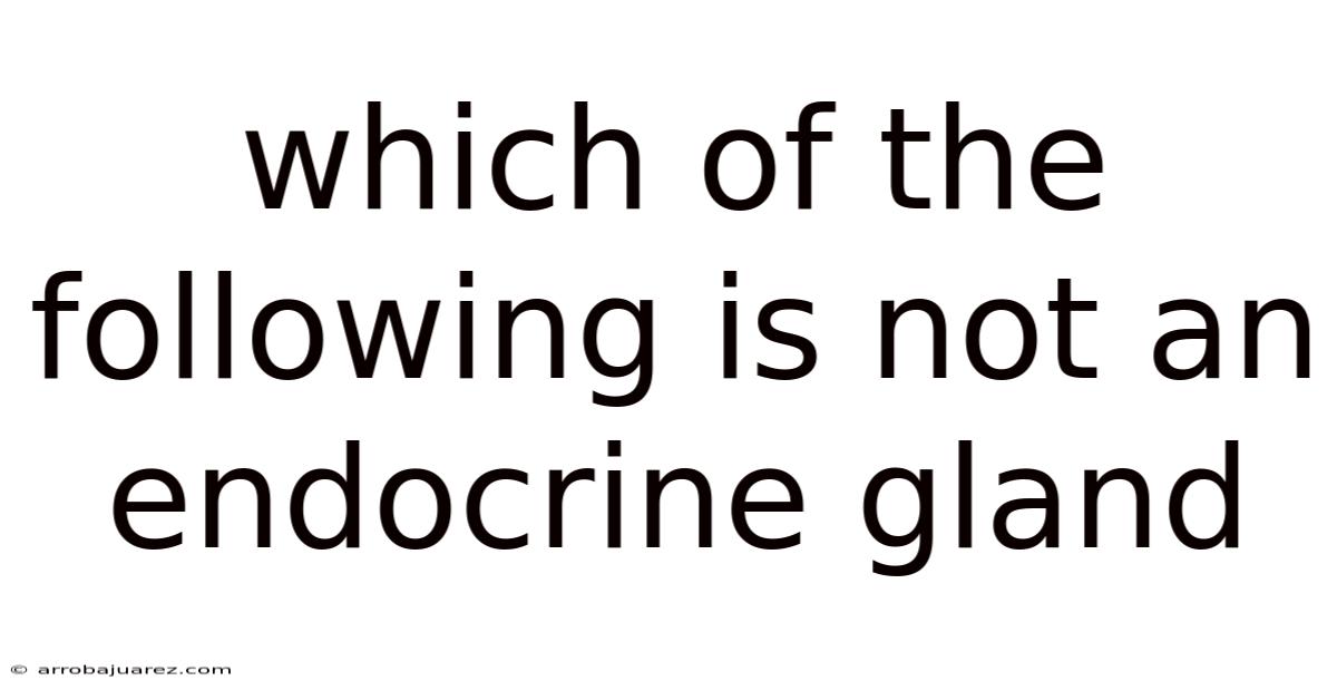 Which Of The Following Is Not An Endocrine Gland