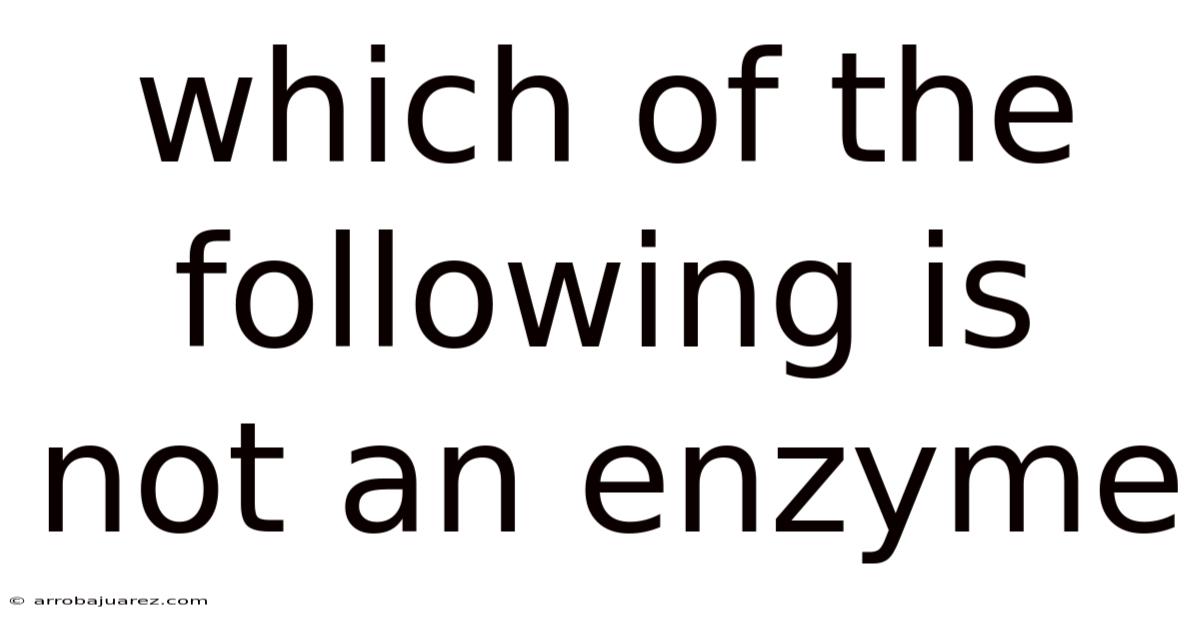Which Of The Following Is Not An Enzyme