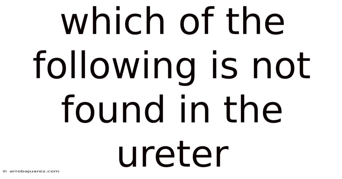 Which Of The Following Is Not Found In The Ureter