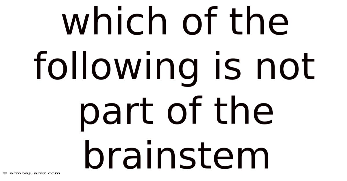 Which Of The Following Is Not Part Of The Brainstem
