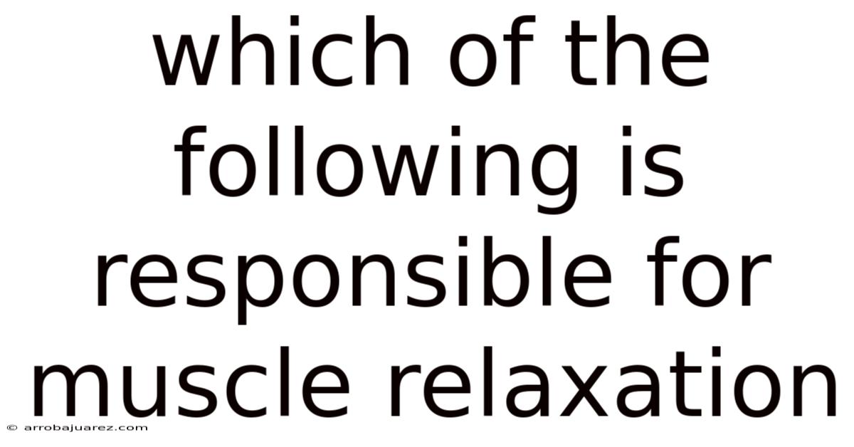 Which Of The Following Is Responsible For Muscle Relaxation