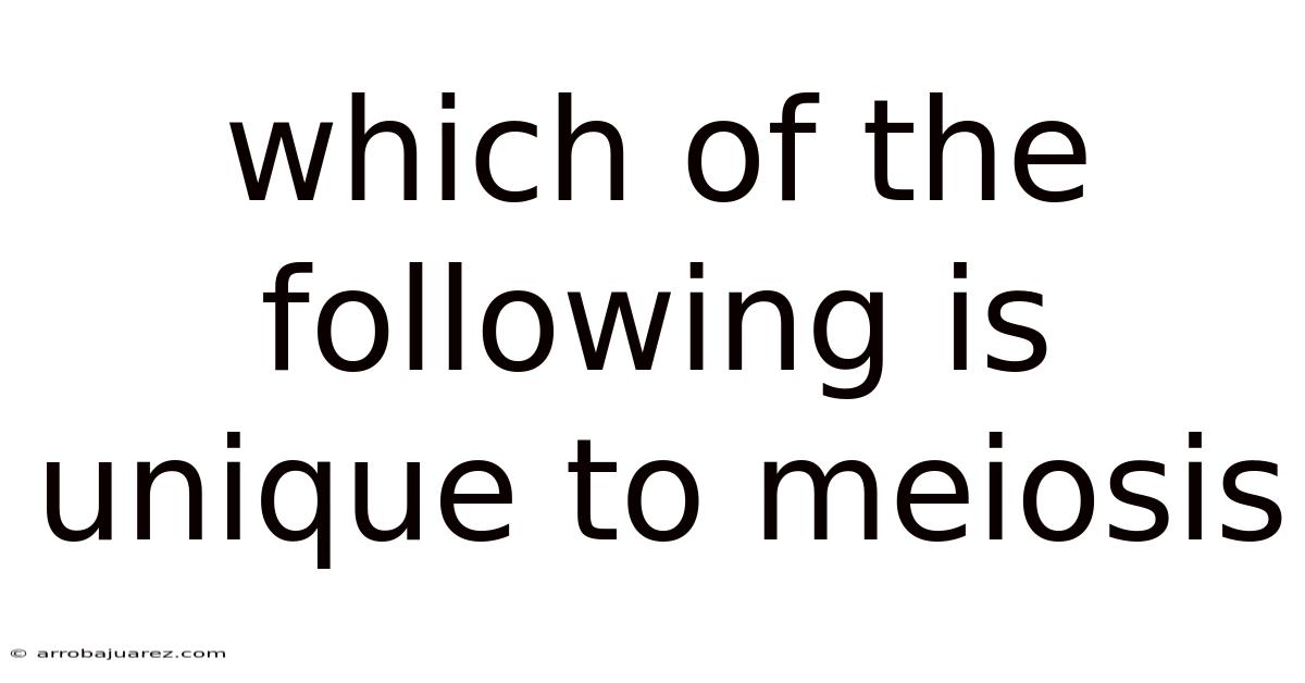 Which Of The Following Is Unique To Meiosis