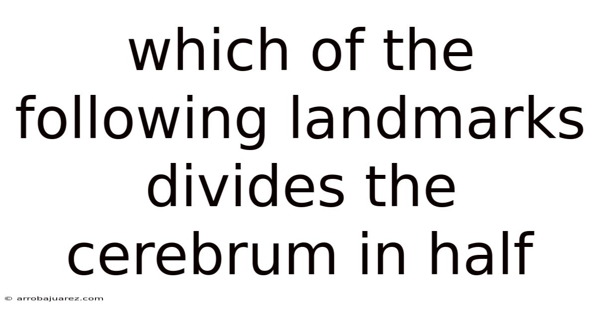 Which Of The Following Landmarks Divides The Cerebrum In Half