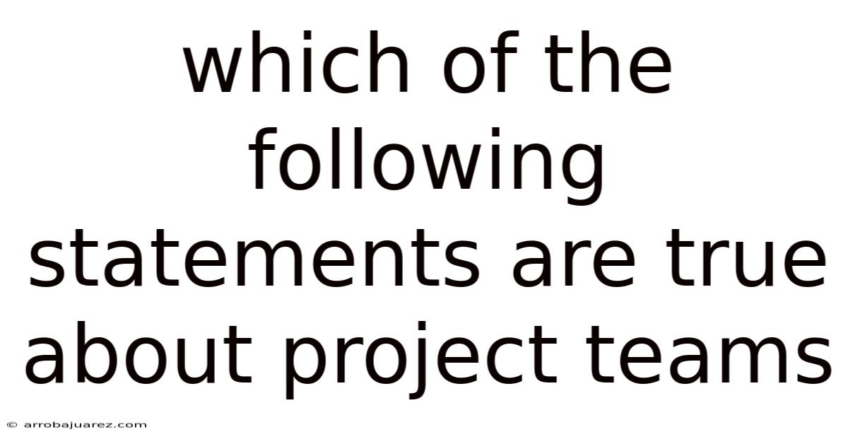 Which Of The Following Statements Are True About Project Teams