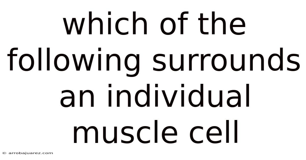 Which Of The Following Surrounds An Individual Muscle Cell