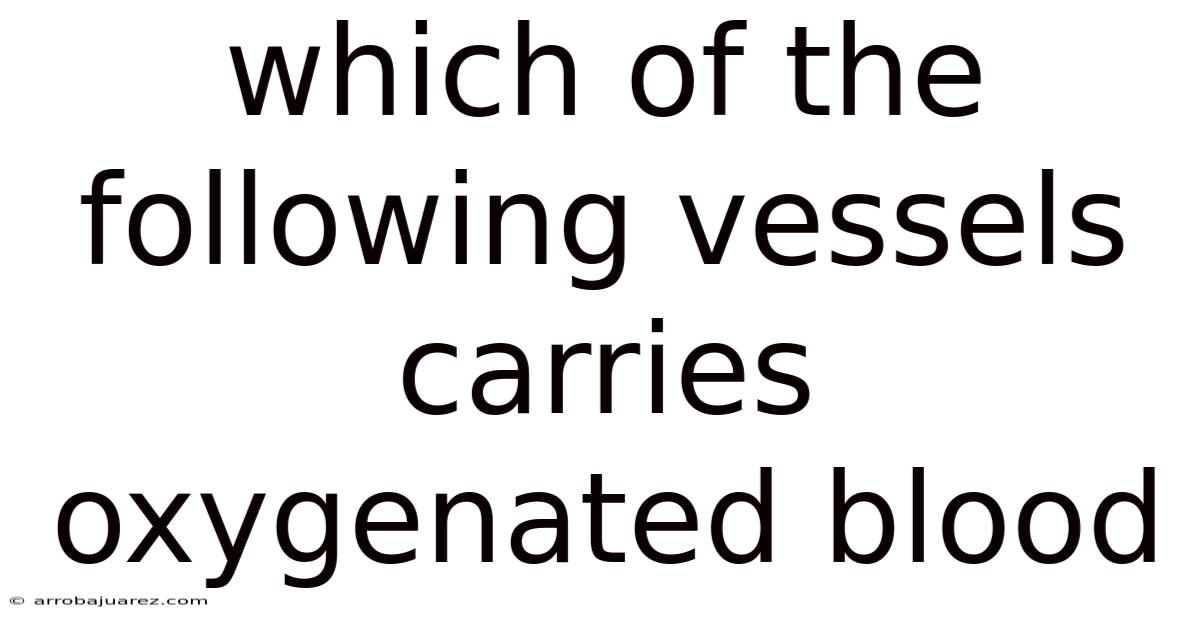 Which Of The Following Vessels Carries Oxygenated Blood