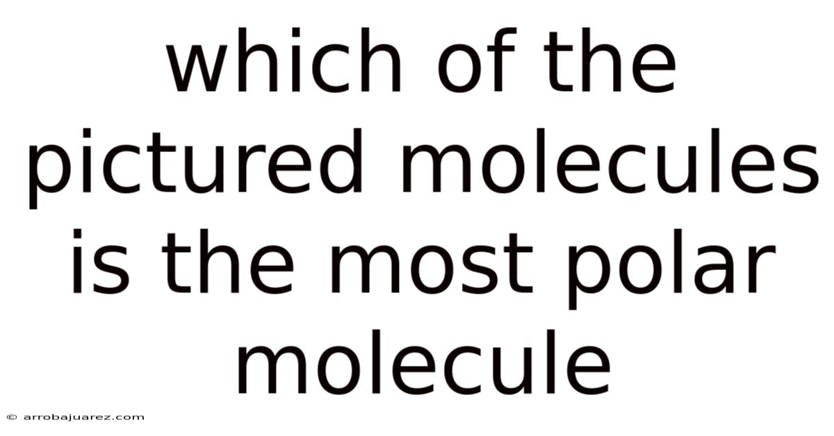 Which Of The Pictured Molecules Is The Most Polar Molecule