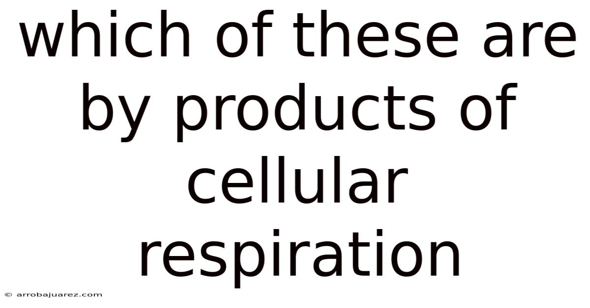 Which Of These Are By Products Of Cellular Respiration
