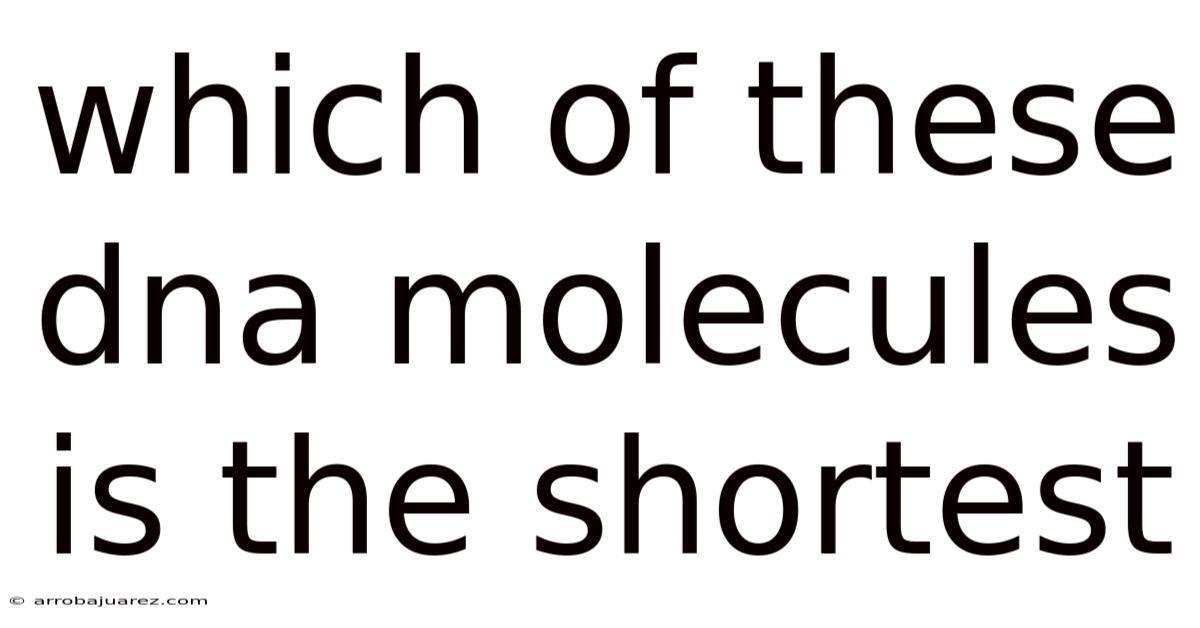 Which Of These Dna Molecules Is The Shortest