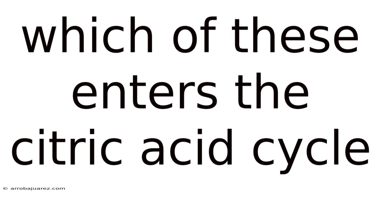 Which Of These Enters The Citric Acid Cycle