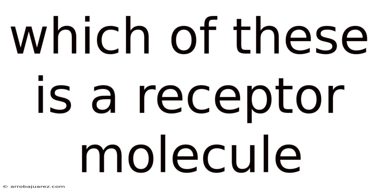 Which Of These Is A Receptor Molecule