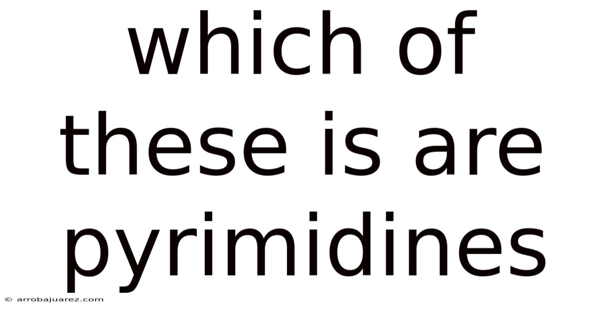 Which Of These Is Are Pyrimidines