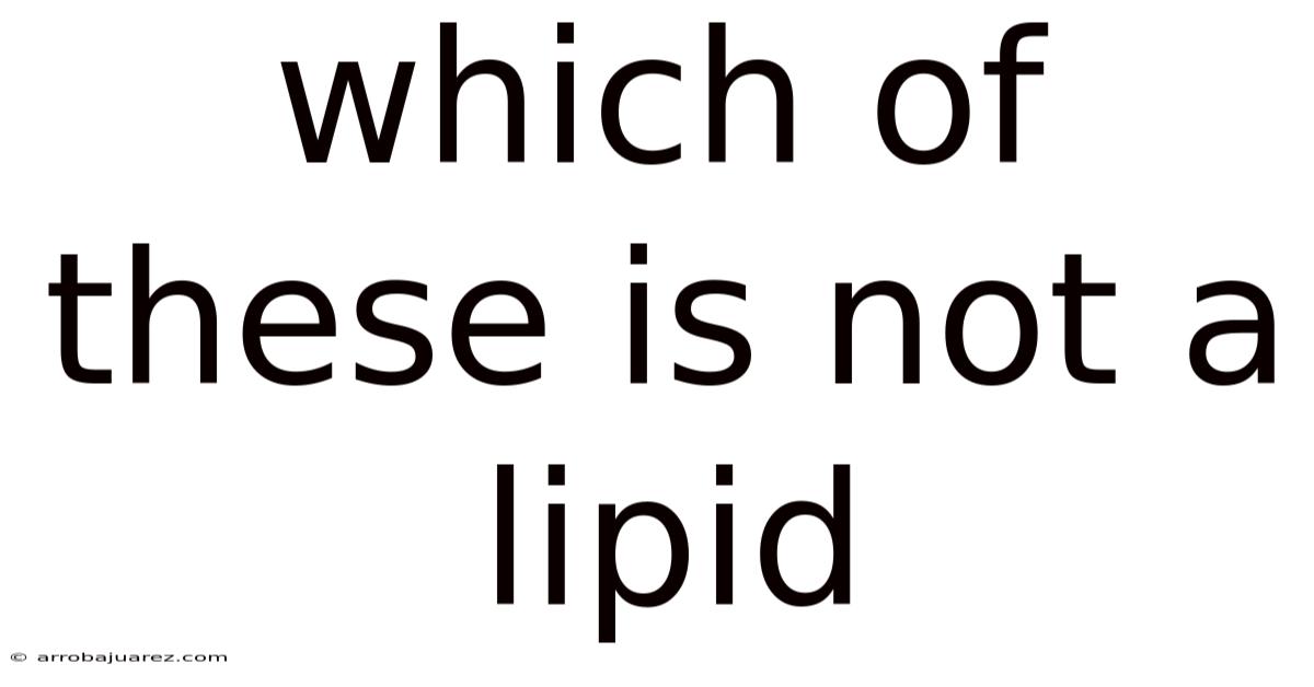 Which Of These Is Not A Lipid