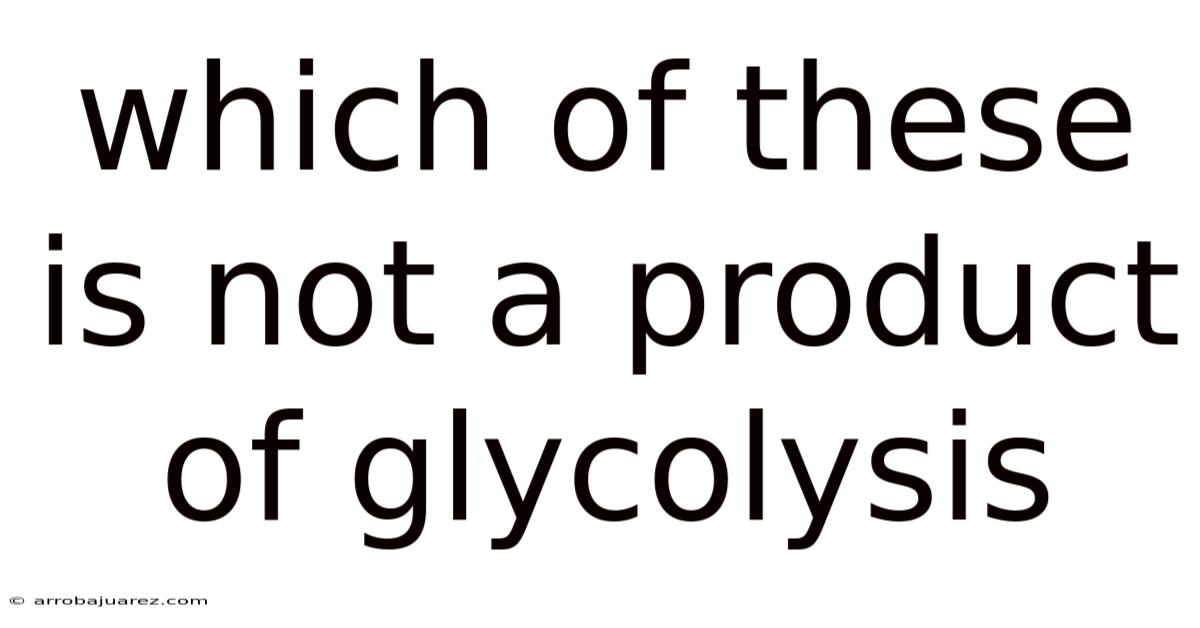 Which Of These Is Not A Product Of Glycolysis