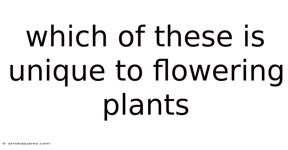 Which Of These Is Unique To Flowering Plants
