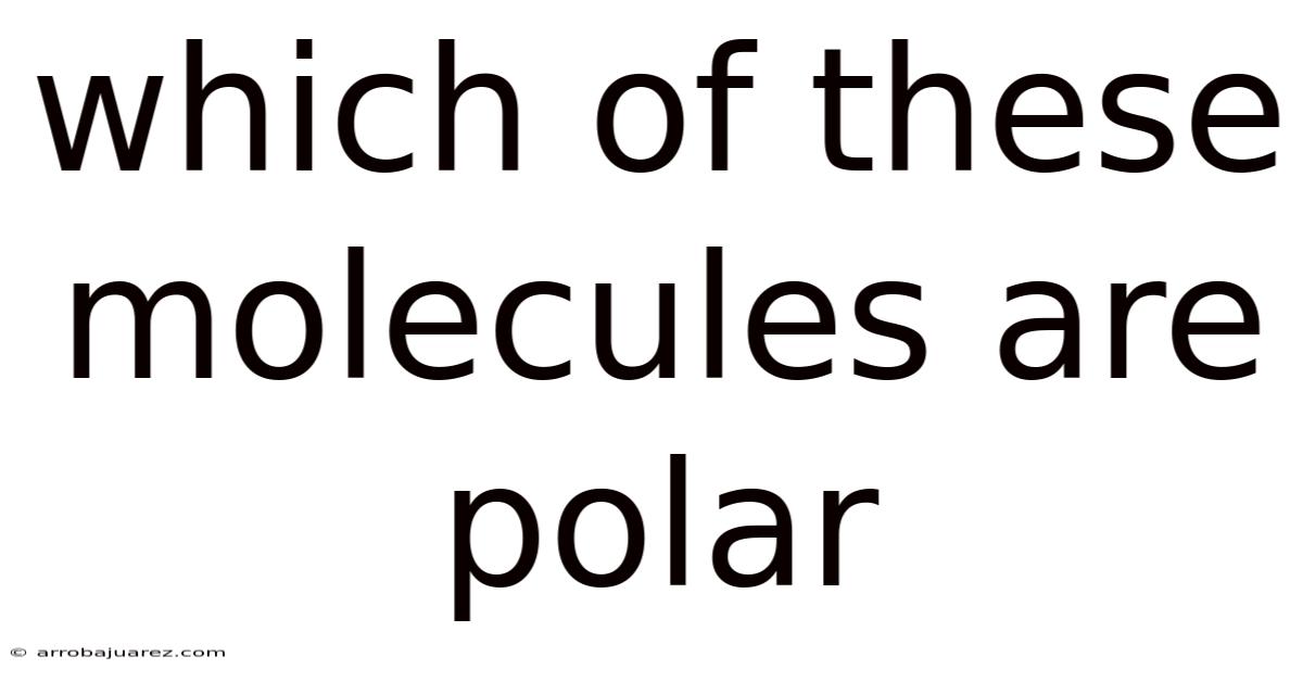 Which Of These Molecules Are Polar