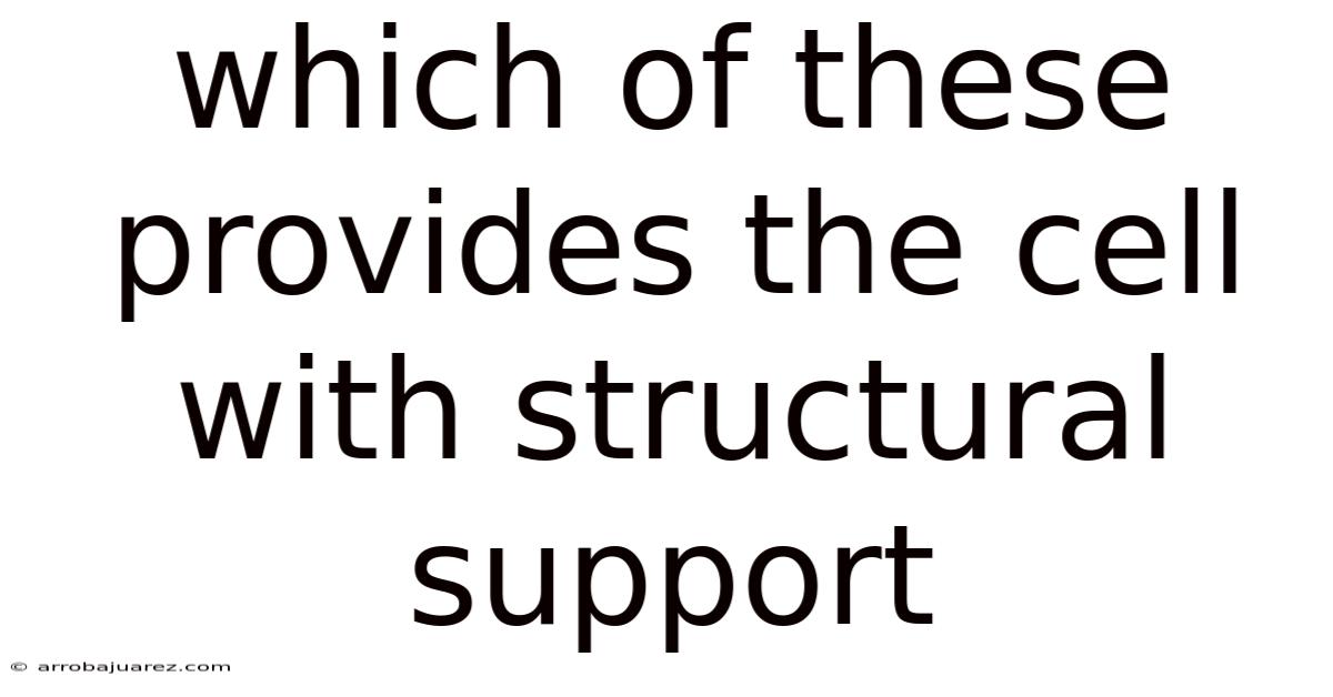 Which Of These Provides The Cell With Structural Support