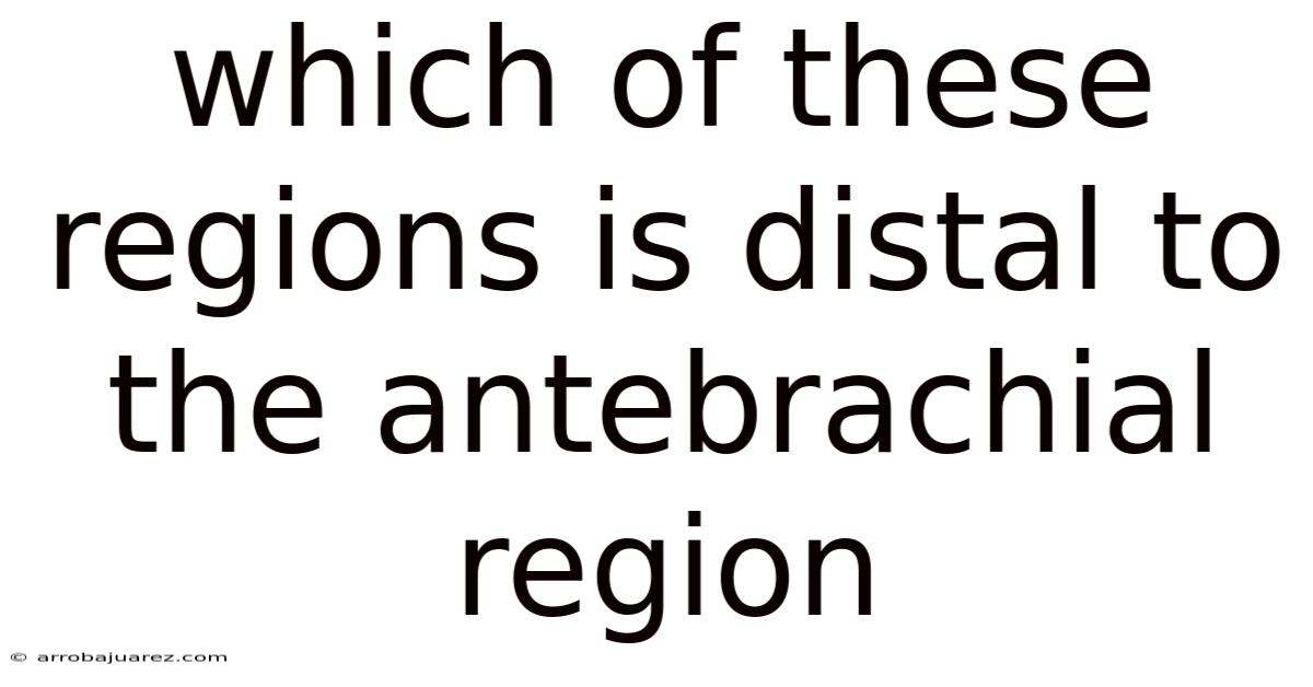 Which Of These Regions Is Distal To The Antebrachial Region