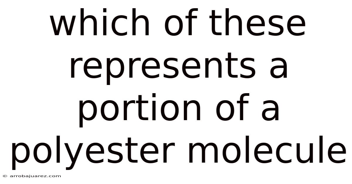Which Of These Represents A Portion Of A Polyester Molecule