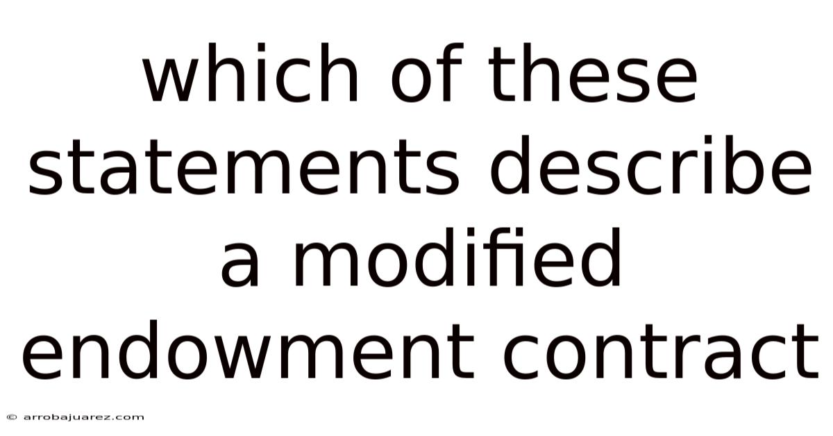 Which Of These Statements Describe A Modified Endowment Contract